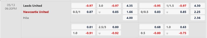 Soi kèo Leeds vs Newcastle - Tỷ lệ kèo Leeds vs Newcastle