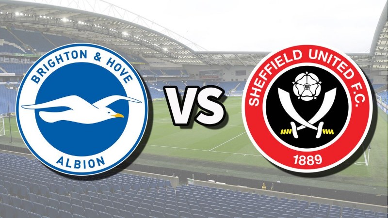 Soi kèo Brighton vs Sheffield - 21h00 ngày 12/11