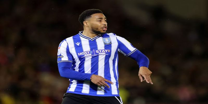 Câu lạc bộ Sheffield Wednesday là gì?