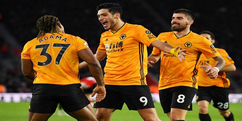 Điểm danh một số thành tích đáng kể của Wolves