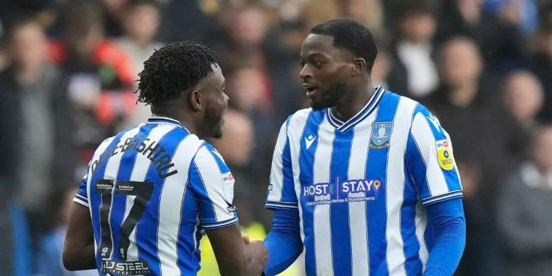 Những thành tích nổi bật của câu lạc bộ Sheffield Wednesday