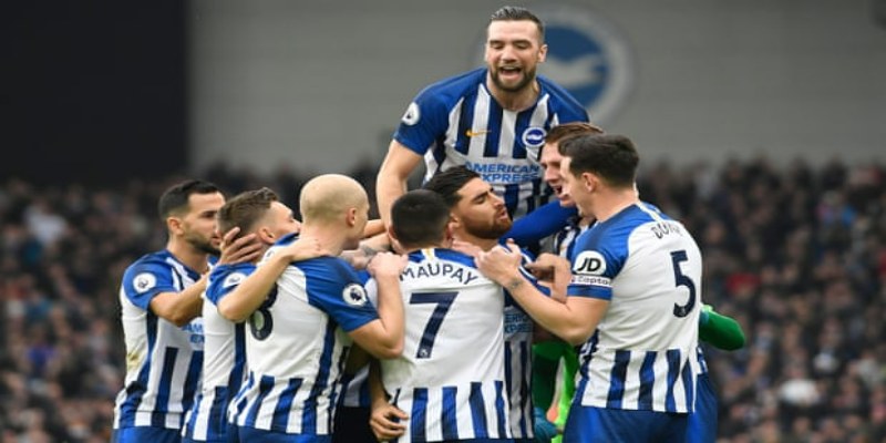 Tổng quát về đội bóng Brighton & Hove Albion